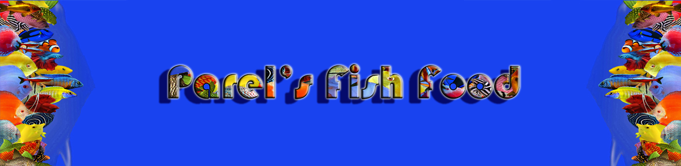 Homepage banner